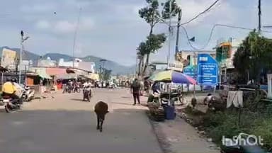 ଜି ଉଦୟଗିରି: ରାଇକିଆ ଅଞ୍ଚଳ ରୁ ଏକ ବାଇକ୍ ଚୋରି ଅଭିଯୋଗରେ ରେ ରାଇକିଆ ଥାନାରେ ଏକ ମାମଲା ରୁଜୁ ହୋଇଅଛି