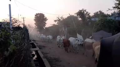 సిర్పూర్ టి: దుమ్ము ధూళితో తీవ్ర ఇబ్బందులు పడుతున్న డబ్బా గ్రామ ప్రజలు