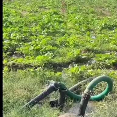 मालाखेड़ा: बलाना गांव में जल जीवन मिशन के तहत लगाए गए बोरिंग का पानी ग्रामीणों तक नहीं पहुंचा, किया विरोध प्रदर्शन