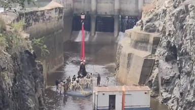 ಮಳವಳ್ಳಿ: ಶಿವನಸಮುದ್ರದಲ್ಲಿ ಆನೆಯನ್ನು ರಕ್ಷಿಸಿದ ಅರಣ್ಯ ಇಲಾಖೆ ಸಿಬ್ಬಂದಿಗಳು