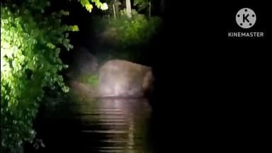 ରାସଗୋବିନ୍ଦପୁର: ଏକତାଳି ଠାରେ ଜମ୍ଭୀରା ନଦୀ ଅତିକ୍ରମକରି ପରିବା ବାଡ଼ିରେ ପଶି ବ୍ୟାପକ ପନିପରିବା ନଷ୍ଟକଲେ ୨୧ଟିକିଆ ବଣୁଆ ହାତୀପଲ, ସତର୍କ କରାଇଲା ବନବିଭାଗ