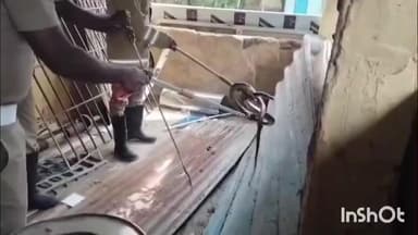 உடையார்பாளையம்: ஜெயங்கொண்டம் குடியிருப்பு பகுதிக்குள் புகுந்த சாரை பாம்புகளால், பீதி அடைந்த குடியிருப்புவாசிகள்