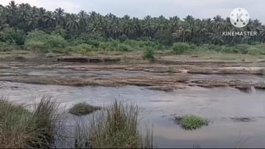 ஆம்பூர்: எட்டு நாட்களுக்கு முன்பு காணாமல் போன கட்டிட மேஸ்திரி வெங்கிலி பாலாற்றில் சடலமாக மீட்பு போலீசார் விசாரணை