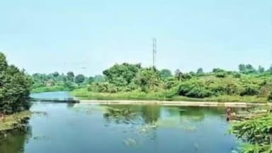 સાગબારા: સાગબારા તાલુકામાં રવિ પાક માટે સિંચાઈના પાણી મળી રહેશે.