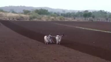 નાંદોદ: ખેતીવાડી ખાતાની ટ્રેક્ટર ઘટક અંતર્ગત ઓનલાઇન અરજીઓ મેળવવા માટે આઈ-ખેડુત પોર્ટલ ખુલ્લું મુકવા અંગે નર્મદા જિલ્લાના ખેડુતો