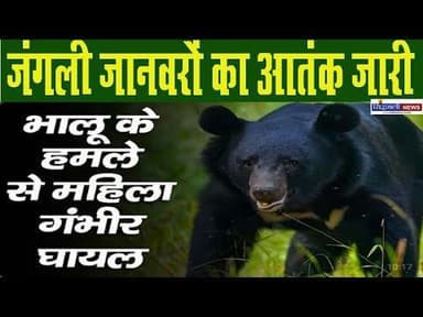 जंगली जानवरों की दहशत में ग्रामीण, जिम्मेदार मौन..सहित उत्तराखंड के मुख्य समाचार : Sidhbali News