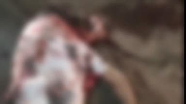 नौबतपुर: नौबतपुर पुलिस ने दरियापुर गांव के पास से एक 30 वर्षीय व्यक्ति का शव बरामद किया