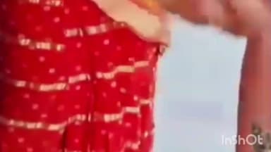 सिकटी: अररिया के सिकटी के एक गांव में शियार के हमले के दौरान गांव वालों ने साहस का परिचय दिया, सितार को खदेड़ा