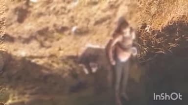 मधेपुरा: सिंघेश्वर थाना क्षेत्र के बुढ़ापे पुल के पास मिला 35 वर्षीय अज्ञात युवक का शव, इलाके में फैली सनसनी