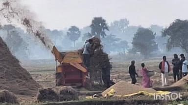 मेसकौर: चुनाव के बाद युद्धस्तर पर धान की कटाई, गांव में सन्नाटा