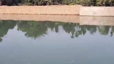 বাক্সা: মানাহ বিধান সভা সমষ্টিৰ অন্তৰ্গত ৩৫২২ হেক্টৰ কৃষিভূমিলৈ অবিৰত জলসিঞ্চনৰ দ্বাৰা কৃষকসকলক সেৱা প্ৰদান