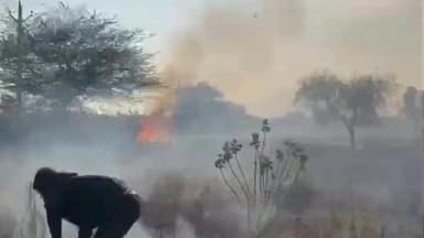 चौहटन: चौहटन के बाड़मेर रोड पर बिजली का तार टूटने से लगी आग, बाबुल की झाड़ियां और सूखा कचरा जलकर राख