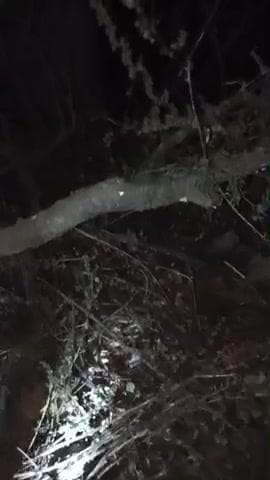 बहुत ही खतरनाक दुर्घटना क्योंकि युवक ने अपने गाड़ी को रोड से छोड़कर डायरेक्ट खेत में उतार दिया और इसके कारण दुर्घटना ग@