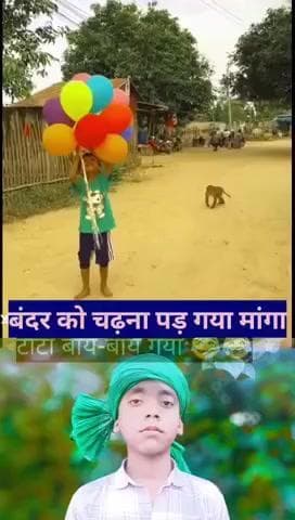 ##गुब्बारे पे बंदर को चढ़ना पड़ गया महंगा@😂😂😂
