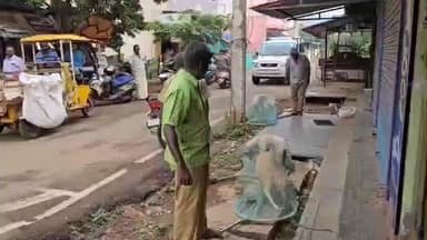 சிவகங்கை: ஆட்சியரின் நோட்டீஸ் எதிரொலி
சிவகங்கையில் தெருநாய்கள் பிடிப்பு, வெறிநாய் தடுப்பு ஊசி பணி தீவிரம்