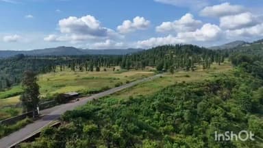 કપરાડા: કપરાડા તાલુકા સહિત જિલ્લામાં ફૂલ ગુલાબી ઠંડીનો ચમકારો: વાતાવરણમાં શીતળતા વ્યાપી, વહેલી સવારે 19 ડિગ્રીમાં લોકો થથર્યા