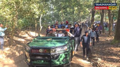 यमुनानगर मे हरियाणा मुख्यमंत्री ने कालेसर जंगल सफारी की शुरूआत की। Hilux कार में जंगल सफारी की जाते नायब सिंह सैनी
#b...