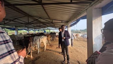 👉 डीएम ने किया विकास खंड तुलसीपुर में गौ आश्रय स्थल जयनगरा एवं सहकारी समिति कौवापुर का निरीक्षण
, बलरामपुर जिलाधिकारी ...