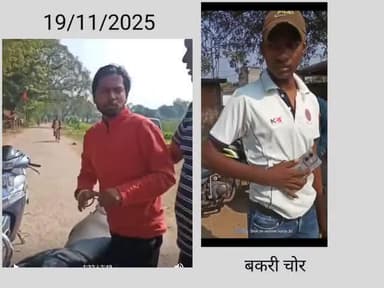 बकरी चोरी करते हुए पकड़ाया #chaibasa#baribazar@public@news