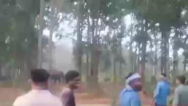 ଚମ୍ପୁଆ: ନୂଆବେଡା ଜଙ୍ଗଲରେ ପ୍ରବେଶ କଲେ ୨୯ ଟିକିଆ ହାତୀପଲ, ବନ ବିଭାଗ ରଖିଛି ନଜର