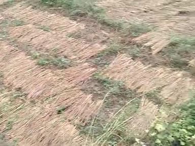 ग्राम पंचायत जोगिनी धनबहबा टोला में