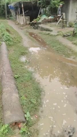 गांव झाऊ का पुरवा मैं सड़क पिछले दो साल से धसी हुई है इसके ऊपर बारिश की वजह से पानी भर जाता है #sdm#dm#sachivbikapur