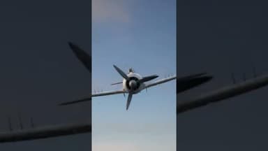 B-17 Pilot Attacked the Copilot || Voice of Sea || #aviation #cargoship #b17bomber #b17 #facts