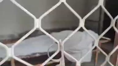 झालरापाटन: झालरापाटन हाईवे पर चिप्स से भारत ऑटो की दुर्घटना, एक युवक की मौत और एक गंभीर घायल