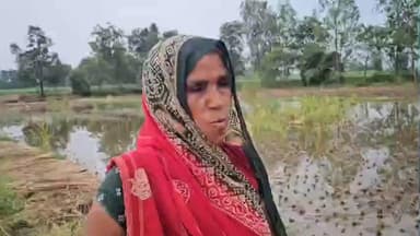 જેતપુર પાવી: ખાંડિયા આમાદર ગામે ખેડૂતોના ડાંગરના પાકને મોટા પાયે નુકસાન, ખેડૂતોએ આપી માહિતી #Jansamasya