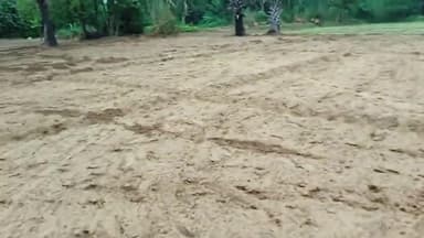 काराकाट प्रखण्ड के बेन सागर पंचायत में जंगली जानवरों का बढा आतंक।