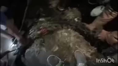 બાયડ: સાઠંબાના પગીયાના મુવાડા ગામના કૂવામાં મગર દેખાતા વન વિભાગની ટીમે સફળ રેસ્ક્યુ કરી સુરક્ષિત જગ્યાએ છોડી મૂકયો