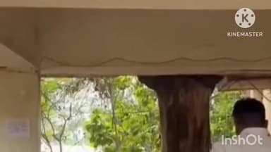 कोरबा: कोरबा में 8 साल के बच्चे ने निगला सिक्का, जिला अस्पताल में उपचार नहीं हुआ, निजी अस्पताल ले जाते वक्त हुई मौत