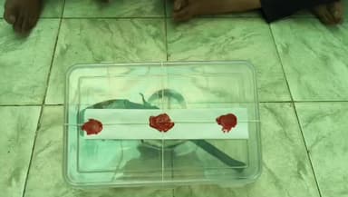 ભરૂચ: ભરૂચ સી ડિવિઝન પોલીસે પગુથણ-ચાવજ ગામ વચ્ચેની કેનાલ પાસેથી દેશી બનાવટના તમંચા સાથે બે ઇસમોને ઝડપી પાડ્યા હતા.