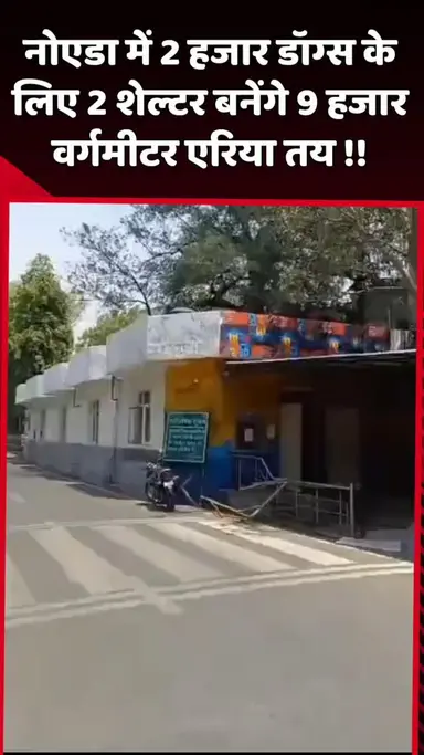 दादरी: नोएडा में 2 हजार डॉग्स के लिए 2 शेल्टर बनाए जाएंगे, 9 हजार वर्गमीटर एरिया तय