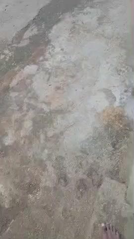 dekhiye keshe meri dori niche giya di gai hai ye loge mire light bujha rhe hai