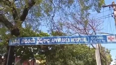 ధర్మవరం పట్టణంలో గ్రామ సింహాల దెబ్బకు బెంబేలెత్తుతున్న ప్రజలు.