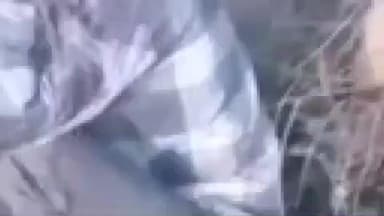 हिसार: हिसार के पाली में किसान पर हमला, खेत में पीटा व जान से मारने की धमकी, मामला दर्ज