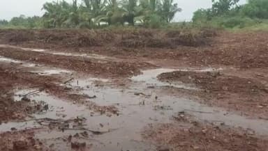 માળીયા હાટીના: માળીયા હાટીનાના વિરડી, માતરવાણીયા, ભાખરવડ, બોડી તથા તરશીગડા ગામે કમોસમી વરસાદના નુકસાન અંગે સચોટ સર્વેની ખેડૂતોની માંગ