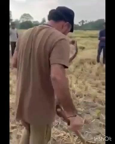 इटारसी: इटारसी के ग्राम धुरपन में 8 फीट लंबा अजगर निकला, सर्प मित्रों ने रेस्क्यू कर जंगल में छोड़ा