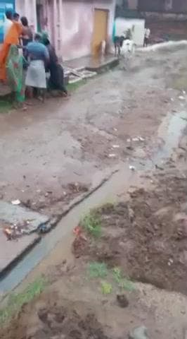 दतिया: खिरिया साहब गांव में दबंगों ने विधवा महिला के साथ की मारपीट, वीडियो वायरल