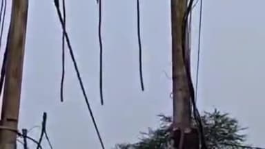 फतेहाबाद: फतेहाबाद के बाईपास रोड पर विद्युत ट्रांसफार्मर से कॉपर वायर चोरी, ग्रामीण ने पुलिस को दी सूचना