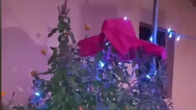 बिशुनपुर: बिशनपुर क्षेत्र में मनाया जा रहा देवठान, तुलसी की हुई विशेष पूजा