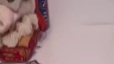 पानीपत: घर में घुसे चोरों ने महिलाओं को धमकाया, लाखों के जेवर और नकदी लेकर फरार