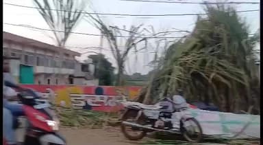 लखनादौन: लखनादौन विकासखंड के ग्रामीण बाजारों में देवउठनी ग्यारस पर दिखी रौनक, उमड़ी लोगों की भीड़