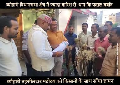 ब्यौहारी विधानसभा क्षेत्र में किसानों के साथ तहसीलदार महोदय को ज्ञापन सौंपा गया: खराब हुई धान कि फसल
