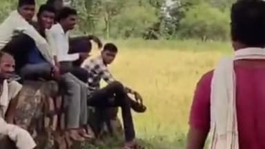 सिंदेवाही: अंतरगाव मिनघरी मार्गावरील शेतात वाघीण व बछड्याना बघताच शेतकऱ्यांत दहशतीचे वातावरण