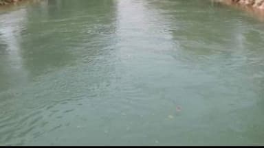 मेहसी: मेहसी थाना क्षेत्र के सराय बनवारी गांव स्थित बूढ़ी गंडक नदी के घाट पर जल बोझी के दौरान पैर फिसलने से एक की मौत