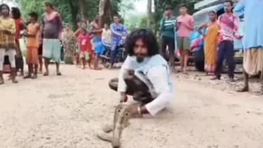 बहरागोड़ा: खांडामौदा: घर में घुसा कोबरा, स्नेक कैचर ने बचाई जान
