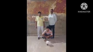 महेंद्रगढ़: सीआईए महेंद्रगढ़ टीम ने अवैध हथियार के साथ एक आरोपी को पकड़ा