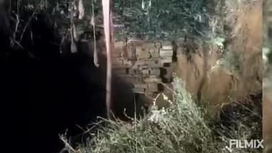 मुरैना: गड़ीखेड़ा गांव में कुएं में गिरे दो गौवंश, ग्रामीणों ने जेसीबी से निकाला, एक की मौत, दूसरा सुरक्षित